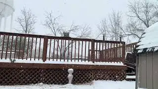 Snow Watching
