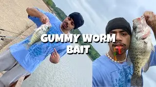 HOW TO CATCH A FISH USING GUMMY WORM!!!