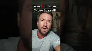 Обличение Александра Усика 🤪