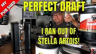 Perfect Draft Machine - Stella Unfiltered - Down The Pub Shed Garden Bar - In My Backyard