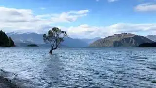ワナカ ワナカ湖の景色