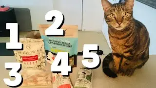 This is why you should feed variety to your cat