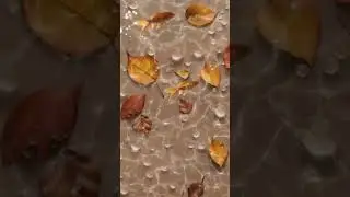 nicefish#nicestory #shortvideo #free #background