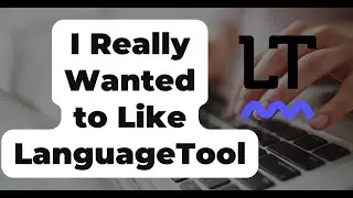 I&rsquo;m Disappointed with LanguageTool