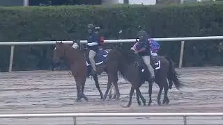 Gulfstream Park Race 9 &ndash; Official Results | Jan 22, 2026 | Lynn&rsquo;s Milky Way Wins
