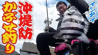 足元に牡蠣を落とすだけでロマン魚が⁉️