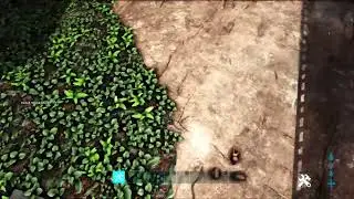 Klusterfukt Event 1v1 pvp event season 6