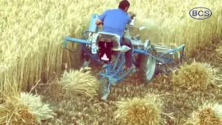 BCS 3 Wheel Reaper Binder Wheat Harvesting Solution
