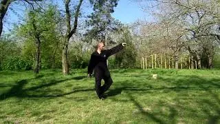 Wudang Tai Yi Wu Xing Quan - 武当太乙五行拳