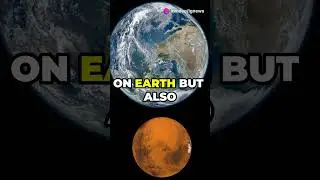 Billion Year Old Life on Earth! 🌍
