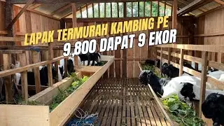 HARGA GEMBLENG ‼️ 9,800JT BAWA PULANG SEMUA.