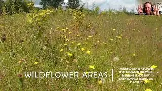 Increasing biodiversity on Allotments and Orchards