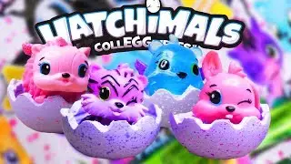 Hatchimals CollEGGtibles Season 1 Blind Bags Hatching Surprise Eggs Opening
