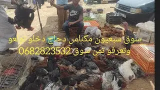 من سوق سبعيون مكناس دجاج البلدي بيبي الفيومي فلالس كروازي 23.7.2032 خيرات بلادي 0682823532