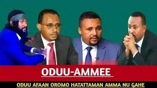 ODUU Ammee Dec 20  //  2025&lrm;  Ani Ana ODUU F/M Birhaanuu Juulaa  , Oduu Afaan Oromo 