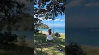 🌿 Aotea Island NZ: Untouched Paradise in the Hauraki Gulf | Nature Escape You NEED to See! 🇳🇿