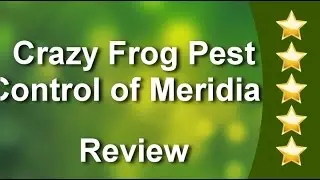 Crazy Frog Pest Control of Meridian Meridian Wonderful Five Star Review by Aliene S.