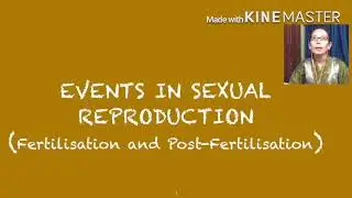 Fertilisation and Post-Fertilisation events Chapter 1 class 12 Biology