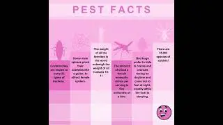Mind-blowing pest facts you need to know!