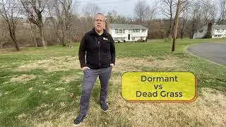 Dormant Grass vs Dead Grass