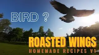 BIRD - #mylipo #bonkapower  #TeamManiacs.com  #HGLRC #BETAFPV