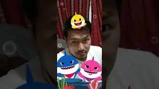 Baby shark endadollar version