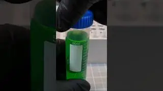 When you want to start your own Jurassic Park!