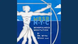 Guided Sitting Mindfulness Meditation