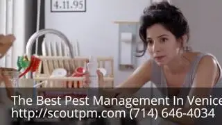 Cockroach Pest Control Venice