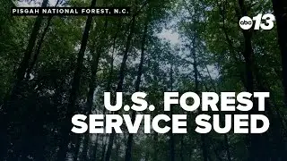 Environmental groups sue Forest Service over logging in Pisgah National Forest