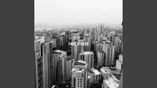 FAKE STRESS