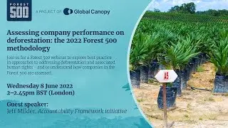 Assessing company performance on deforestation - the 2022 Forest 500 methodology