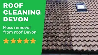 Local Roof cleaners Devon - Roof Moss Removal Service