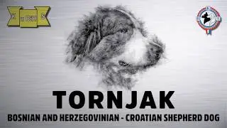 TORNJAK