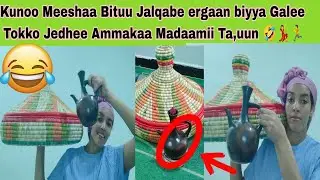 🤣💃 Kunookaa Madaamii Ta,e 😜qoodaa tokko tokko Bitaachuu Jalqabe.