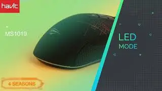 Havit MS1019 & MS885 Gaming Mouse Unpacking | Evergreen Transparency Ltd.