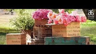Zoom Arbonne Workshop with Amanda Parks and Natalie Garcia