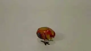 Tin Wind Up Toy - Pecking Chick