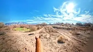 2026 1 19 Sedona crossing the Harvey Jones Channel in Corrales