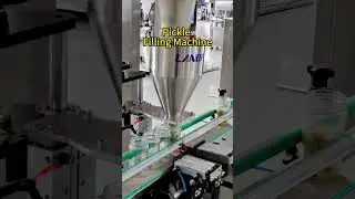 Fully Automatic Pickle Filling Machine