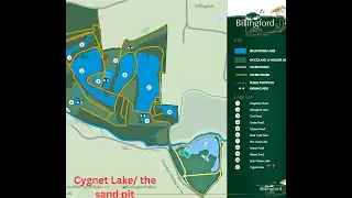 Billingford lakes Cygnet lake  / the sand pit lake tench fishing