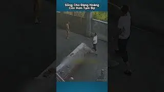 Th&agrave; sống cho đ&agrave;ng ho&agrave;ng...c&ograve;n hơn sống tạm bợ cho qua!!