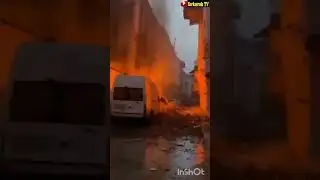 Cemile Gülbudak 