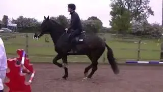 Follow Peter's Journey: Part 9 - Cross pole jump practice