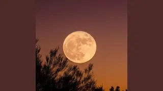 Moonrise Meditation, Pt. 2