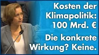 Beatrix von Storch &ndash; Um wie viel Grad senkt die Klimapolitik den Temperaturanstieg?