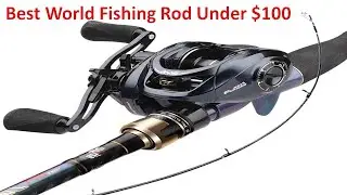 Best World Fishing Rod Under $100 | Top 5 Best World Fishing Rod Under $100 On Aliexpress