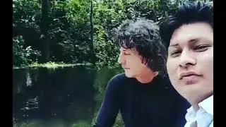Discovery Amazonas WilDLife En búsqueda del oso perezoso de tres garras
