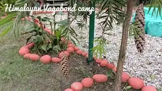 Himalayan Vagabond camp September 2022