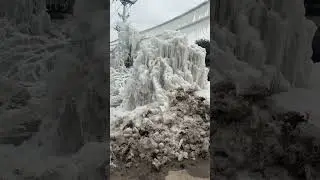 Believe it or not #wonder#surprise#neverseen#rare#texas#snowfall#rareshorts#shorts#shortvideo#fun